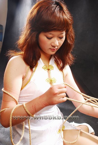 彩绳的系艺(绳结艺术扁形) 彩绳的系艺(绳结艺术扁形)